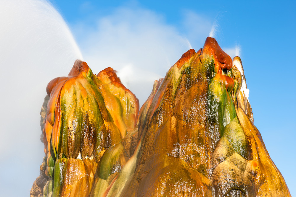 Fly Geyser 7