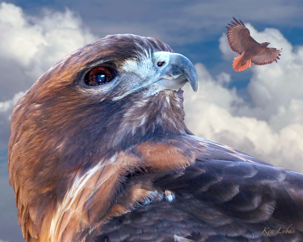 Spring Arrives Photography Art | Art Beyond Control