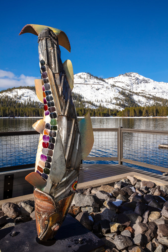 Fish Art at Donner Lake 2