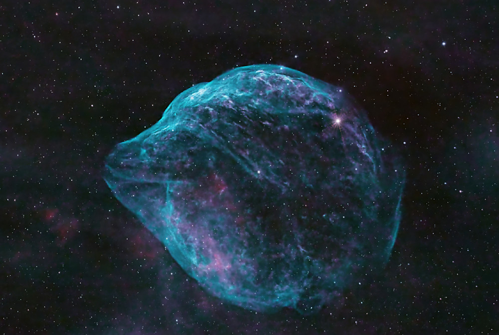 Sh2 308 Dolphin Head Nebula (Closeup) Photography Art | MaximAstroPhoto