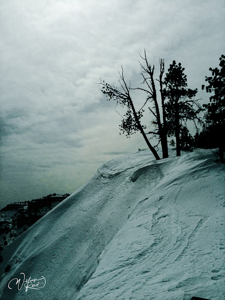 Canyonlands 4 Art | William Reed Artist