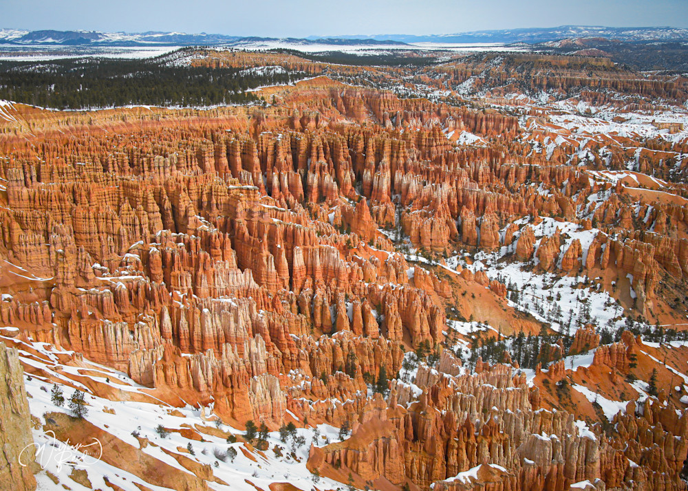 Canyonlands 1: "Red Rock Reverie" Art | William Reed Artist