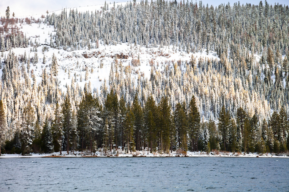 Snowy Donner Lake 34