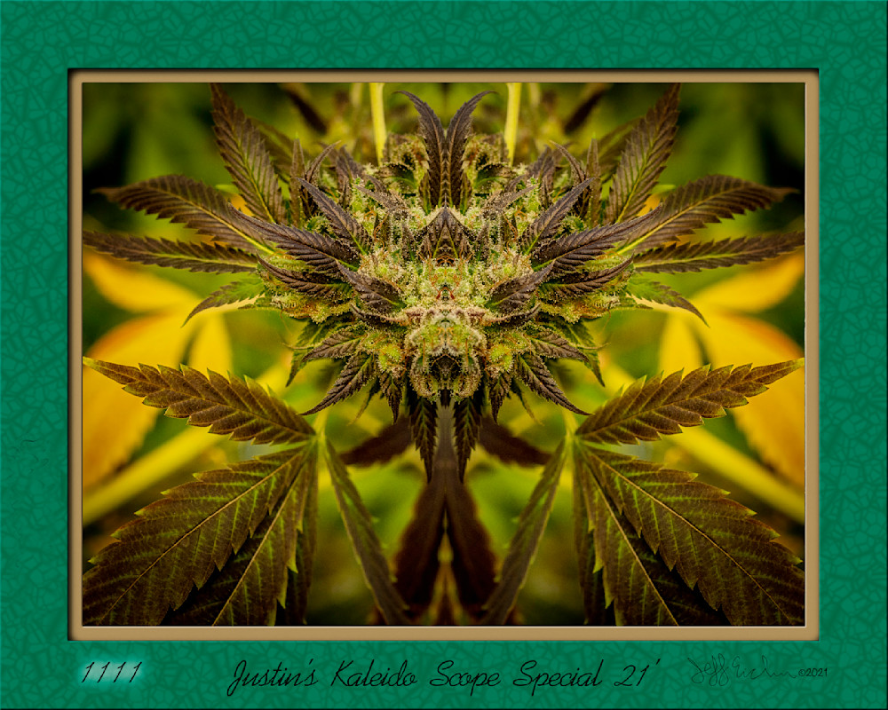Justinss Kaleido 16x20 Photography Art | Jeffrey Eichen