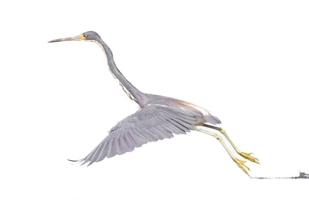 Revisedrevisedrevised J4 A1350 Enhanced Nr Edit Photography Art | Dennis Goodman Photography, Inc.