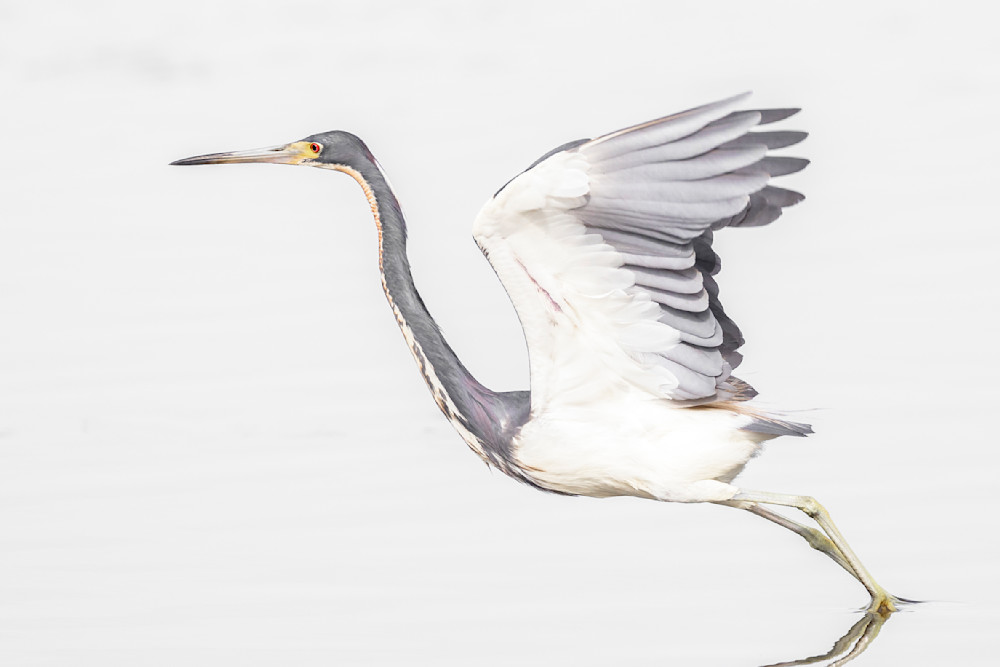 Photographs | Art | Images | Photos | Dennis Goodman Photography