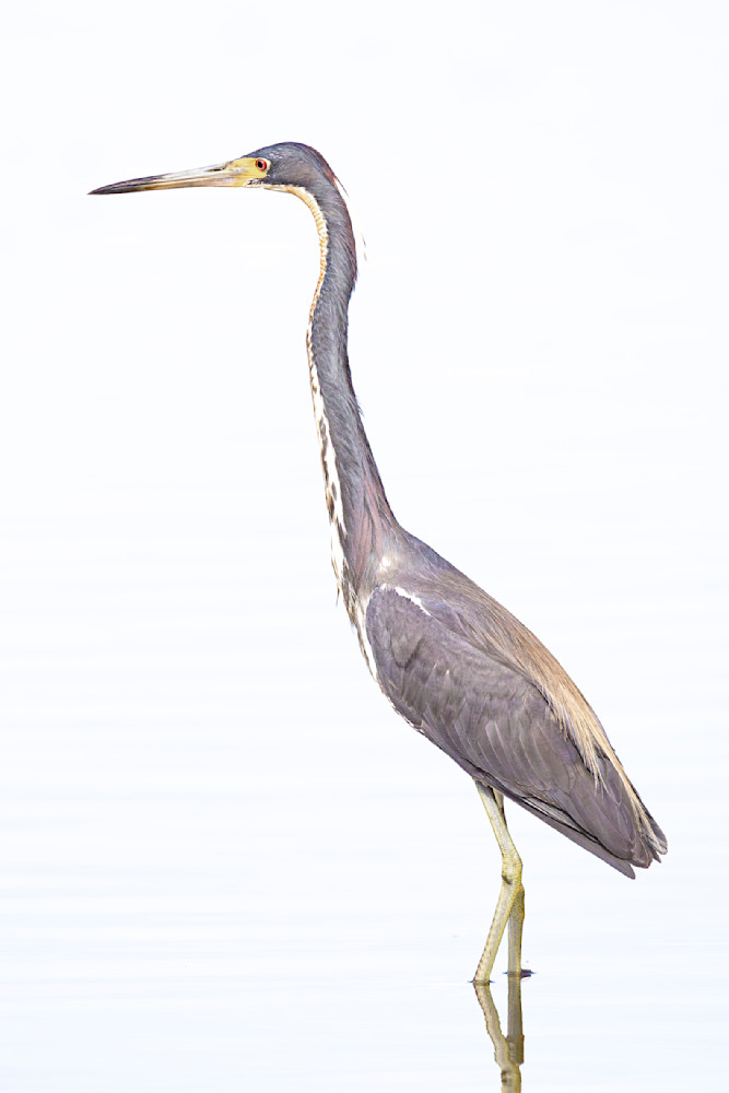 Jekyll Island Photos | Images | Georgia | GA | Pics