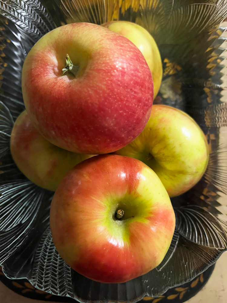 Nature's Palette Art | Nancy's Art