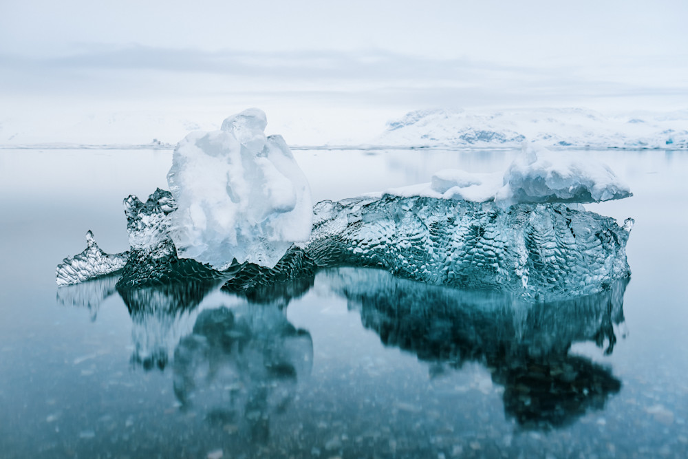 Arctic Silence Arctic Silence