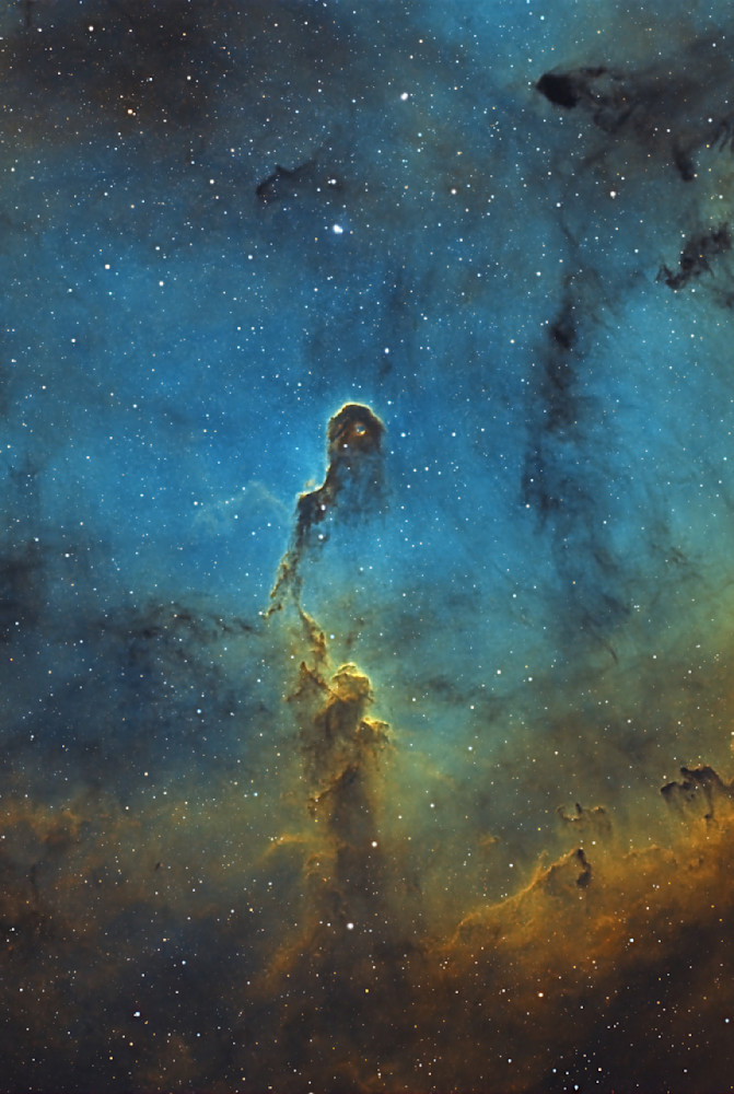Ic1396 Elephant Trunk Reprocess20240607 Sho 3062x4562 Photography Art | MaximAstroPhoto