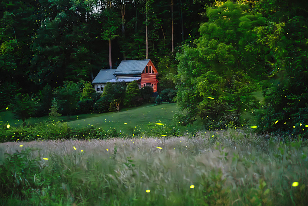 Firefly Farm Photography Art | kramkranphoto