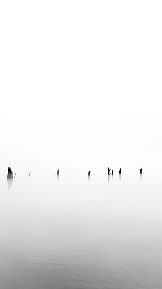 Morning Mist   Original Work Sold! Photography Art | DCD Dixon Fine Art Photography