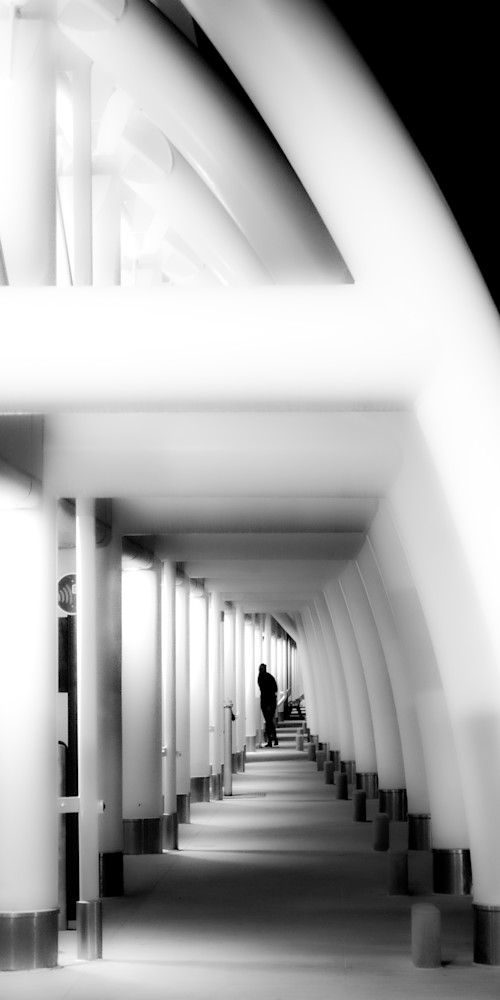 A Little Night Shooting Photography Art | DCD Dixon Fine Art Photography