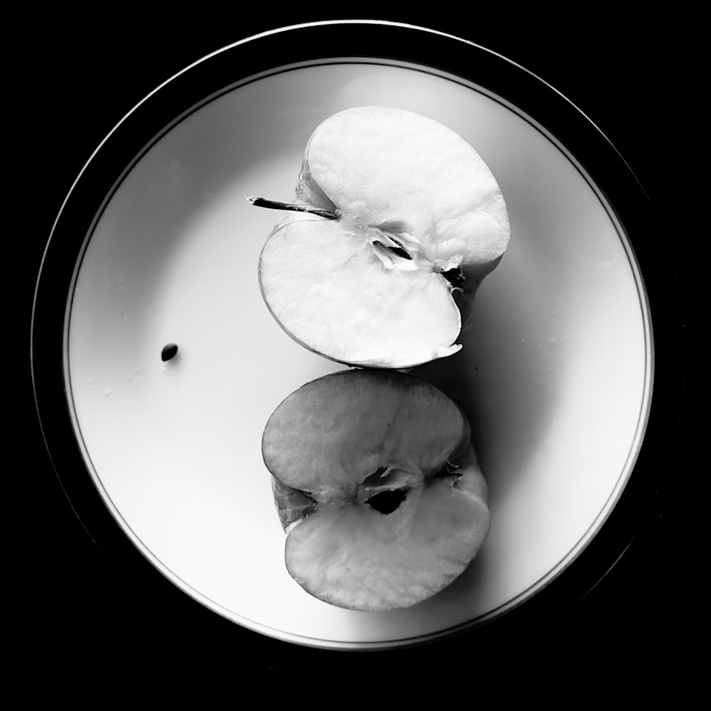 Beautiful Moment Photography Art | DCD Dixon Fine Art Photography