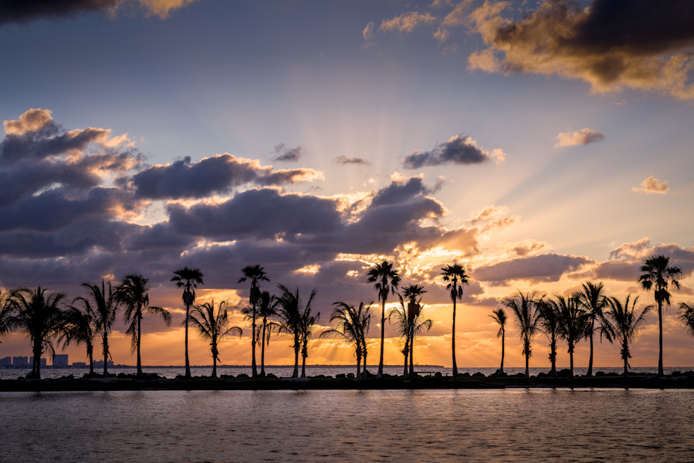 Stunning Sunrise Art from Matheson Hammock Park