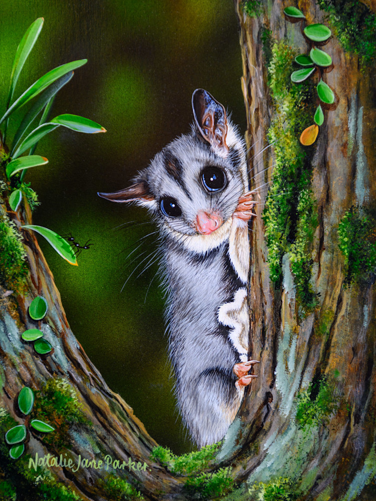 Sugar Glider (Petaurus breviceps) Australian Wildlife Art by Natalie Jane Parker