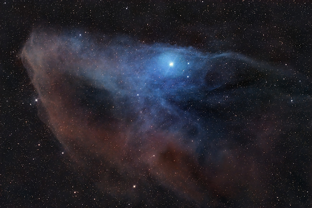 Blue Horse Nebula (Ic4592)   Hyperstar Version Photography Art | MaximAstroPhoto