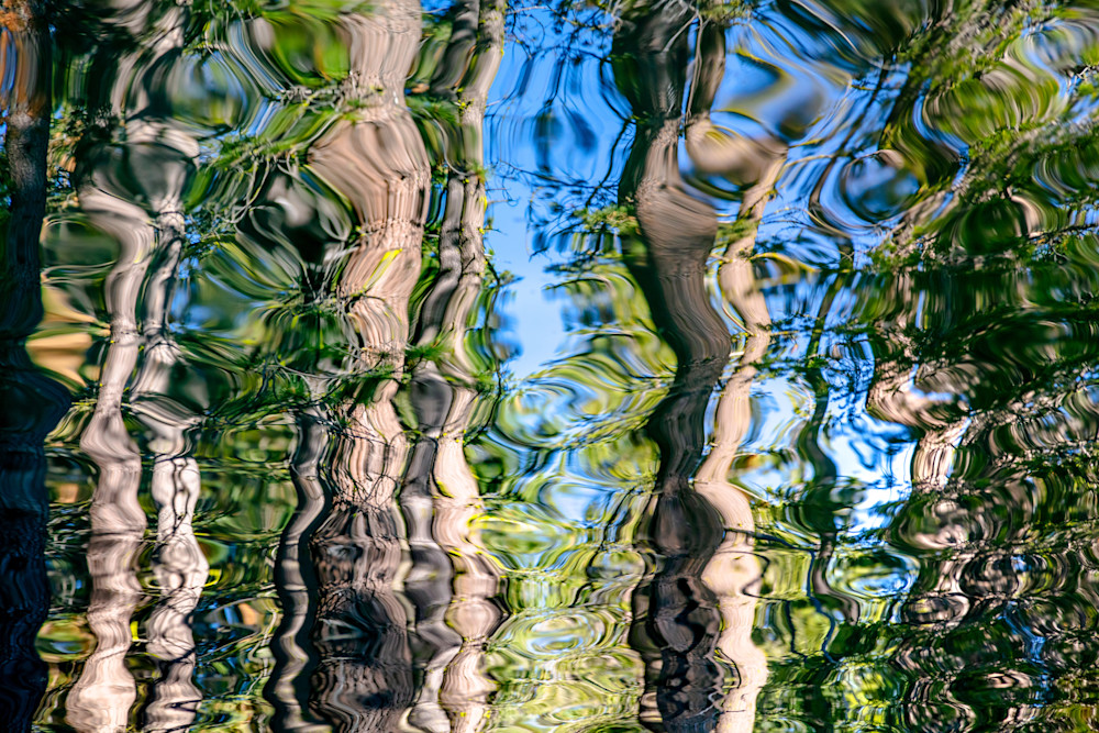 Tree Reflections on Donner Lake 1
