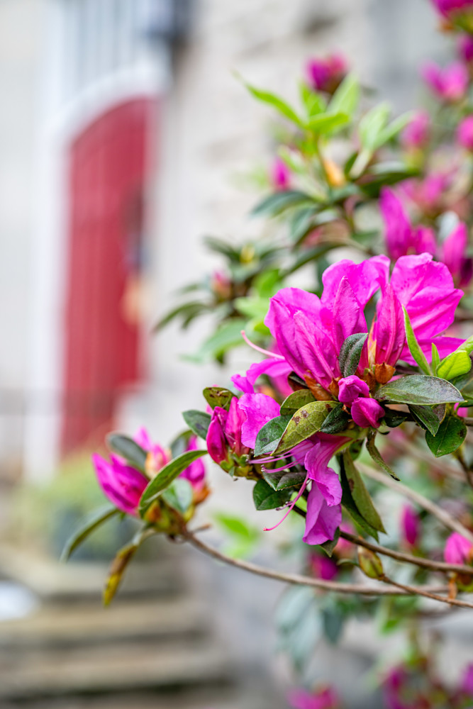 Hastings Main Street 3 3 202488 Photography Art | kramkranphoto