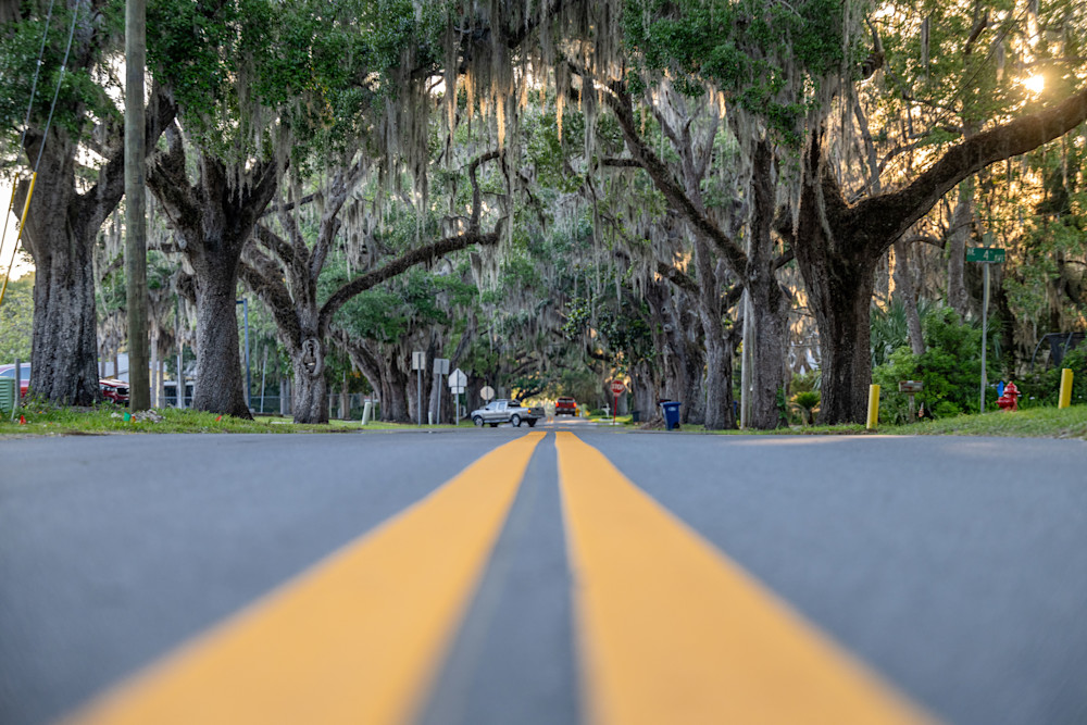 Crystal River Main Street 4 24 2024 5846 2 Photography Art | kramkranphoto