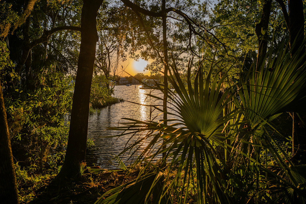 Crystal River Main Street 4 24 2024 5790 Photography Art | kramkranphoto