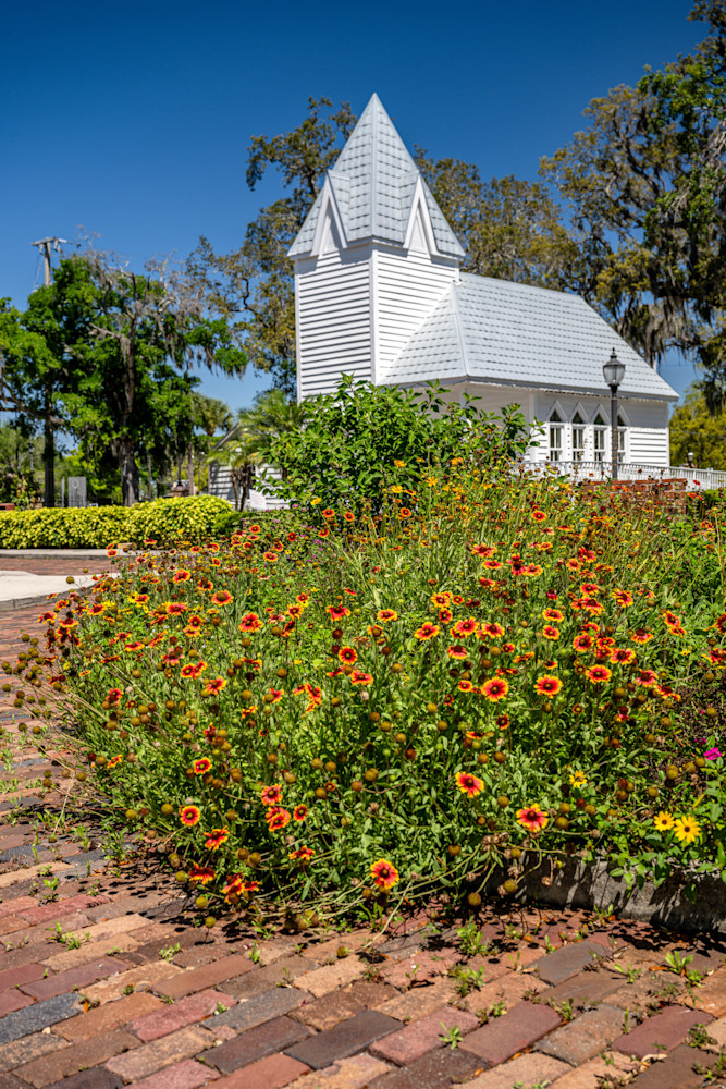 Palmetto Main Street 3 29 2024 6959 Photography Art | kramkranphoto