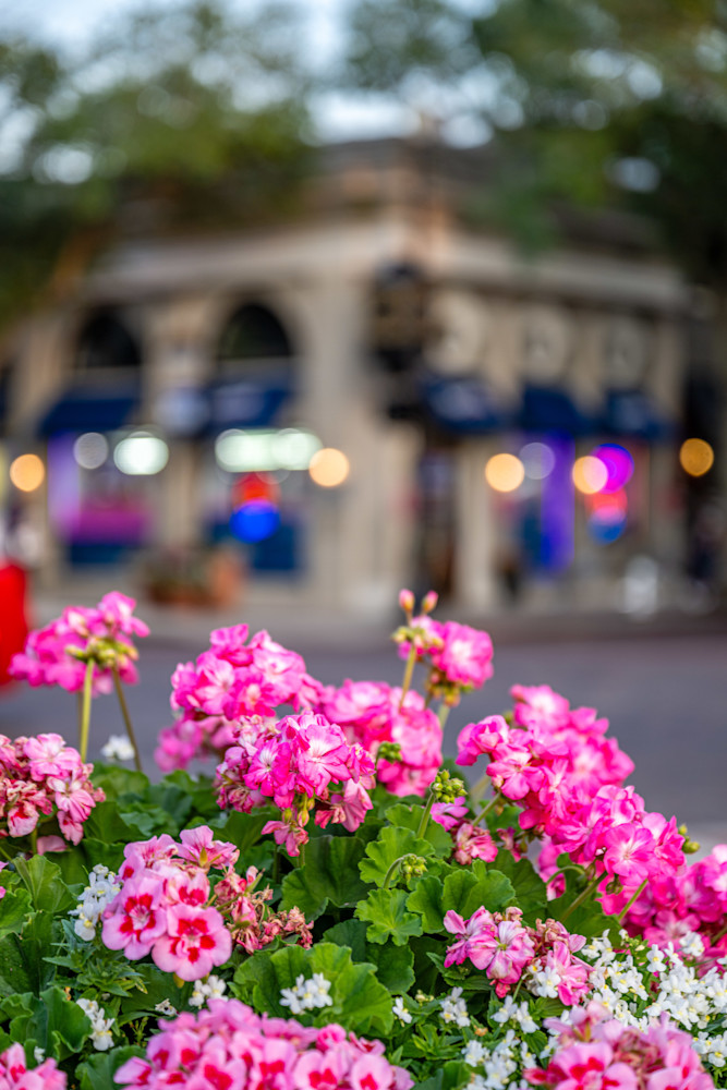 Winter Park Main Street 4 21 2024  31 3 Photography Art | kramkranphoto