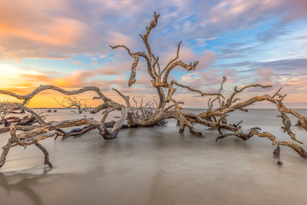 Jekyll Island Photos | Images | Georgia | GA | Pics