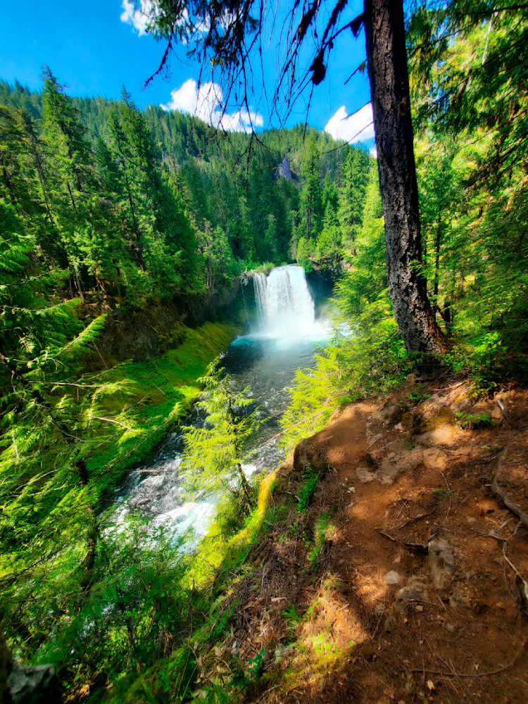 Koosah Falls, waterfall