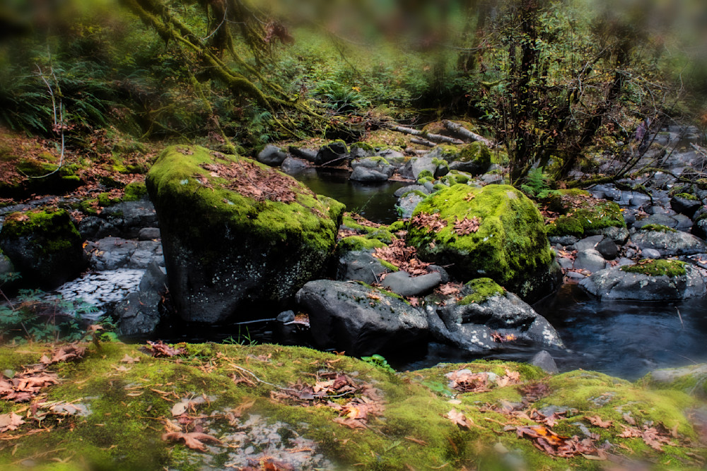 Rock Formations at Sweet Creek