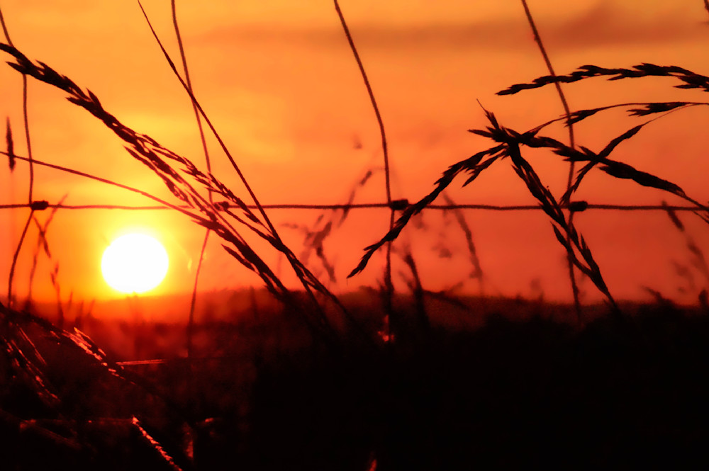 Oregon Farm Sunset Photograph