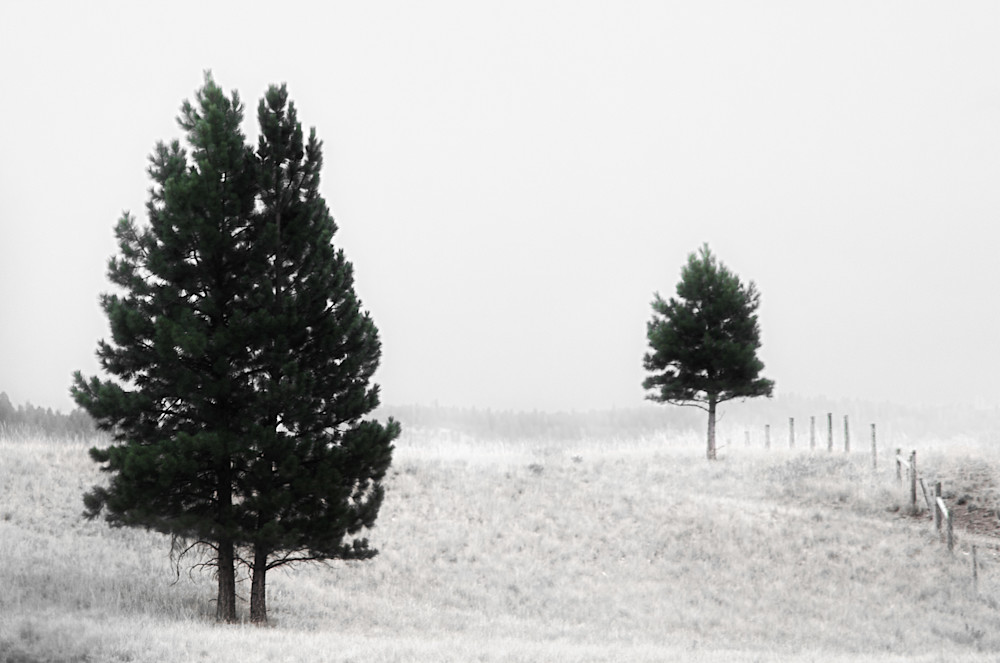 Black and White Landscape