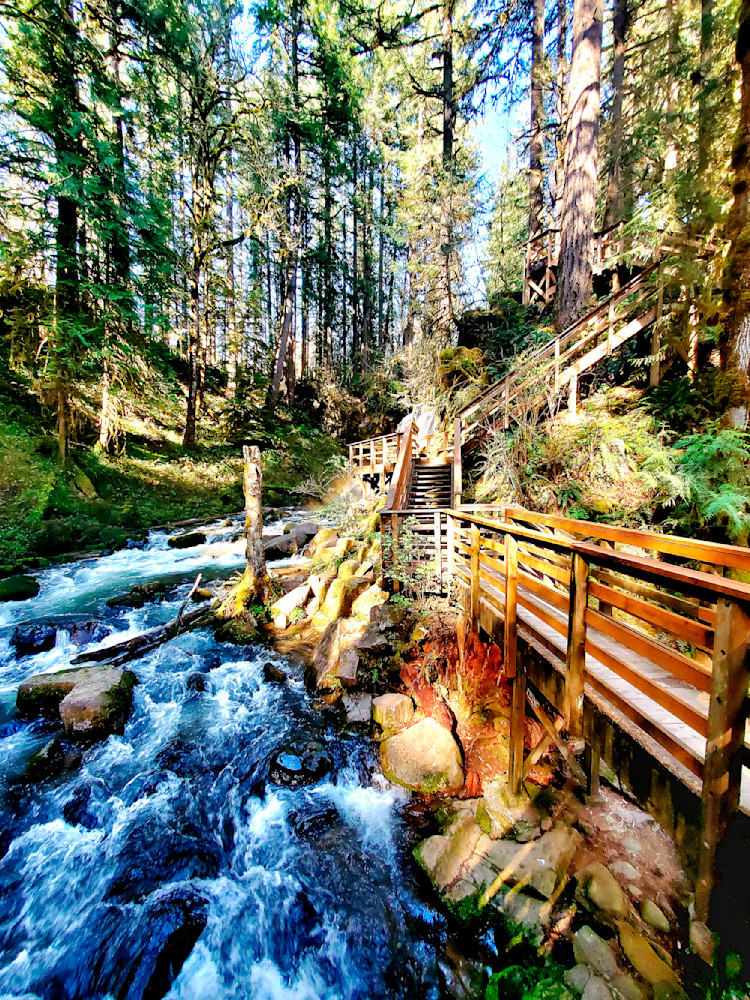 waterscape in Oregon