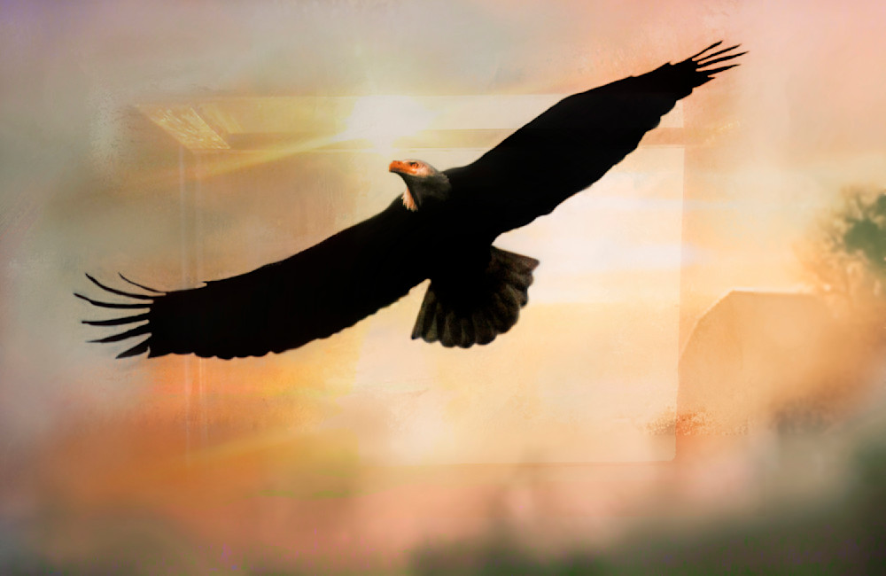 Digital Art of An Eagle
