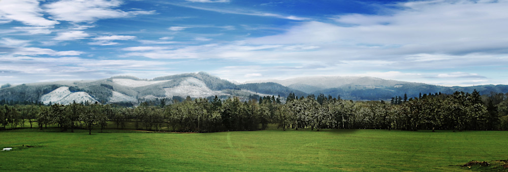 February Farmland in Brownsville, Or.