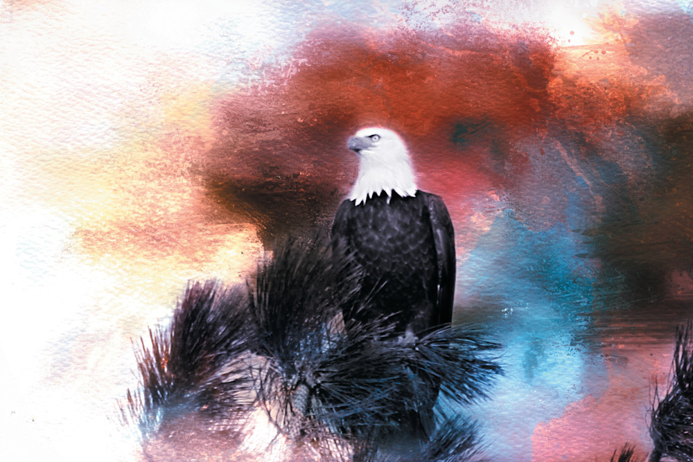 Colorful surroundings- Eagle Artwork