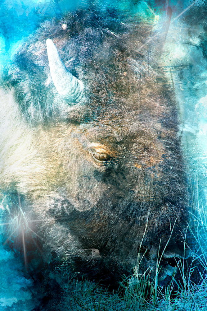 Poem of a Wise Beast- Fine Art