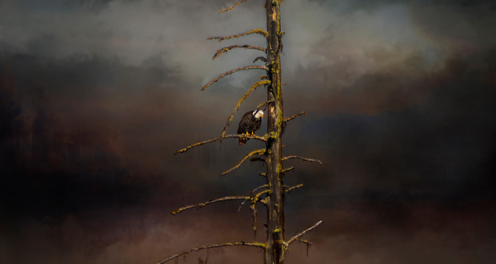 The Eagle Is Watching
