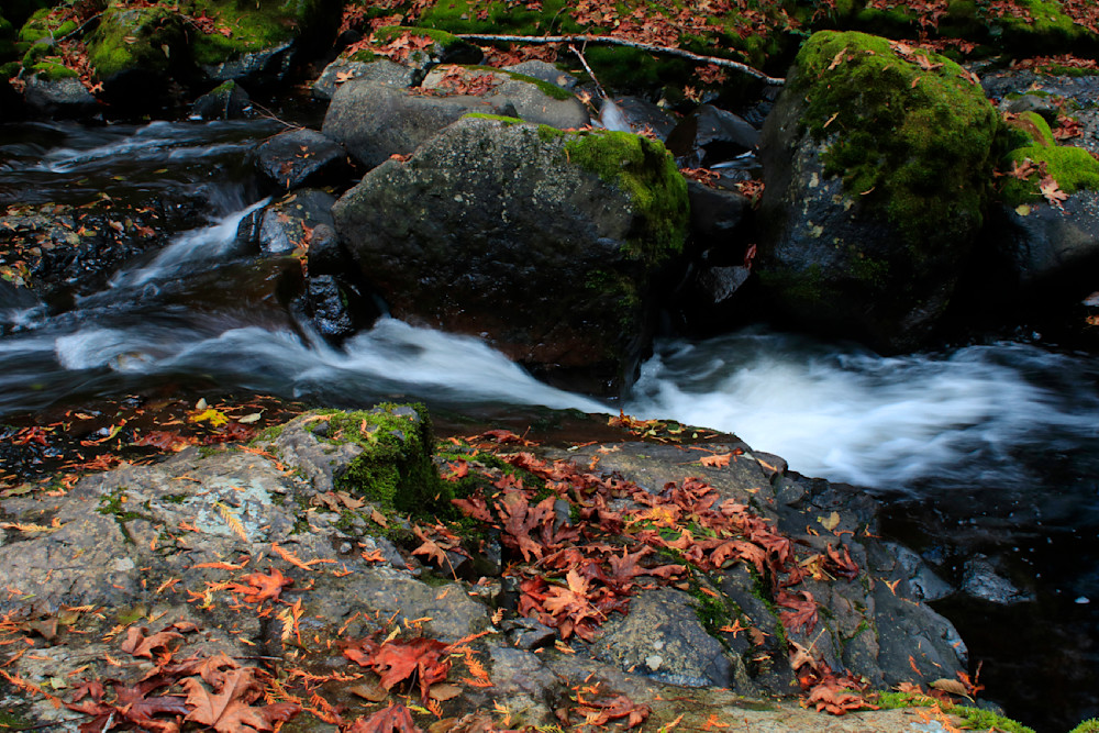 Autumn Fantasy Land 2- Sweet Creek Falls