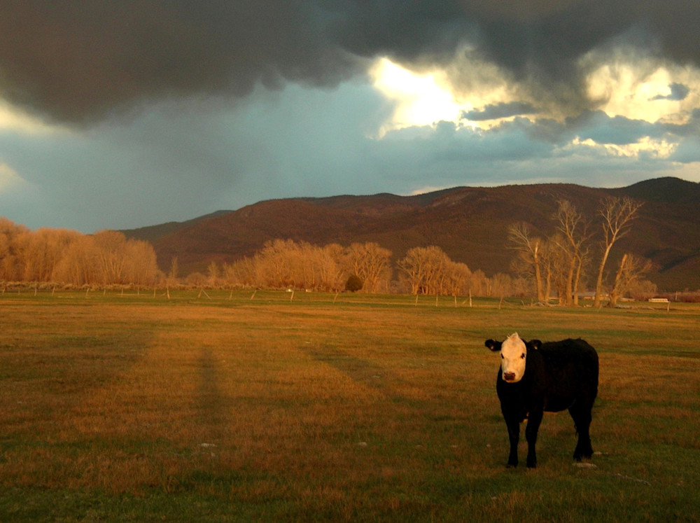 Waiting Out A Taos New Mexico Thunderstorm Photography Art | Sandra S Newman Photographer