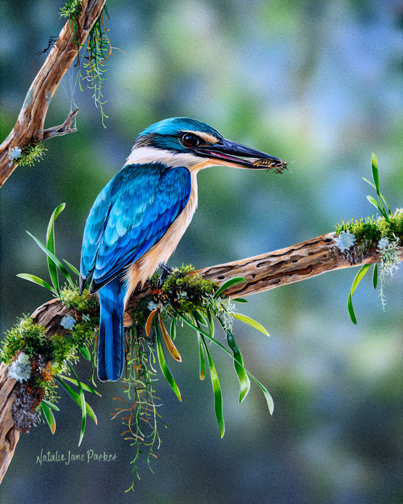Sacred Kingfisher Art Print | "Vantage Point" by Natalie Jane Parker