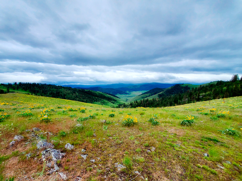 Montana Bison Range
