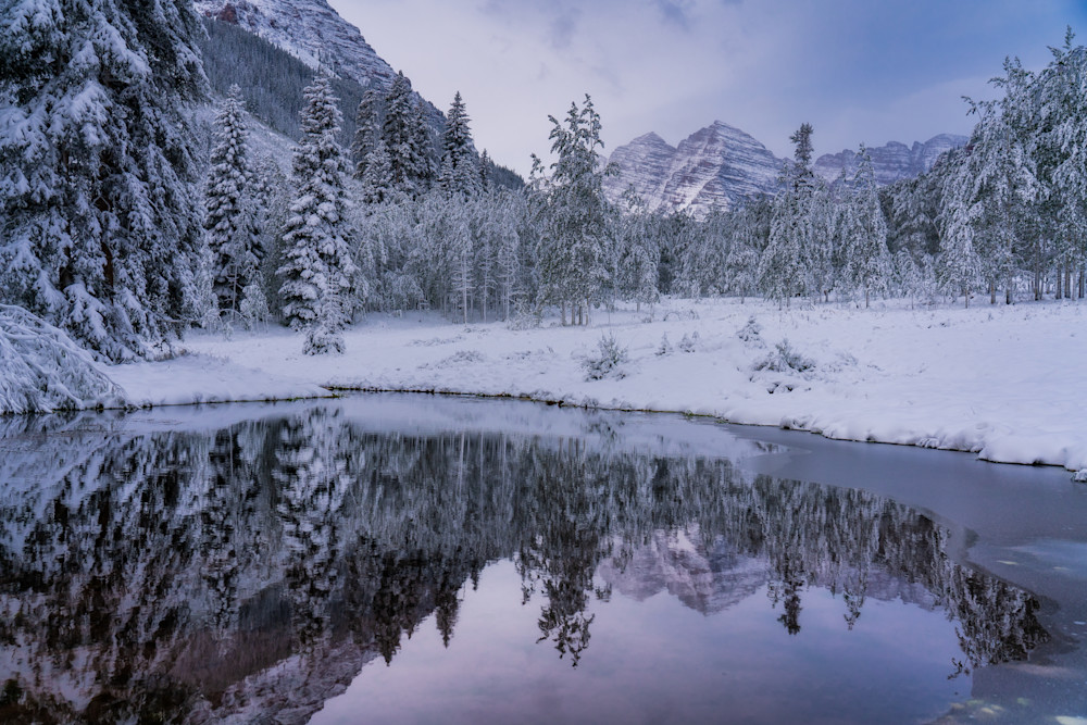 Maron Reflection Maron Reflection