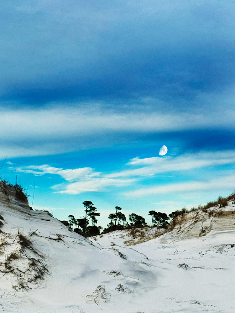 Lunar Oasis Art | Sky + Sparks Luxury Fine Art