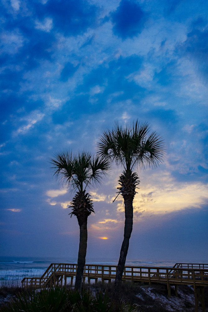 Midnight Palms Art | Sky + Sparks Luxury Fine Art