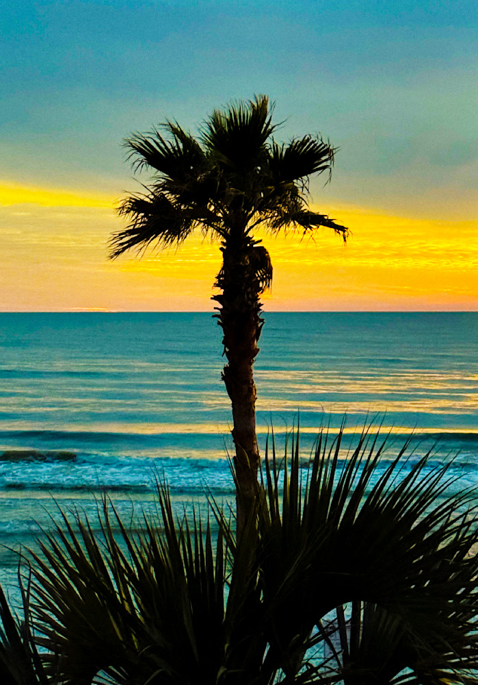 Palm Paradise Art | Sky + Sparks Luxury Fine Art