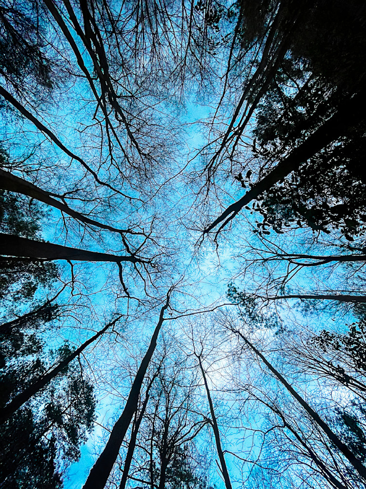 Skyward Bound Clr Art | Sky + Sparks Luxury Fine Art