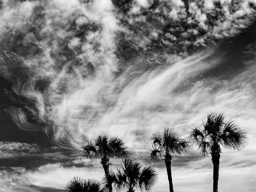 Cloud Kissed Palms Sp Art | Sky + Sparks Luxury Fine Art