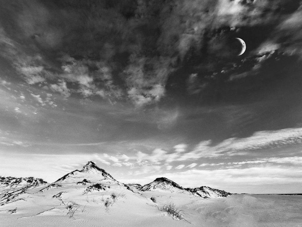 Dune Sculptures Sp Art | Sky + Sparks Luxury Fine Art