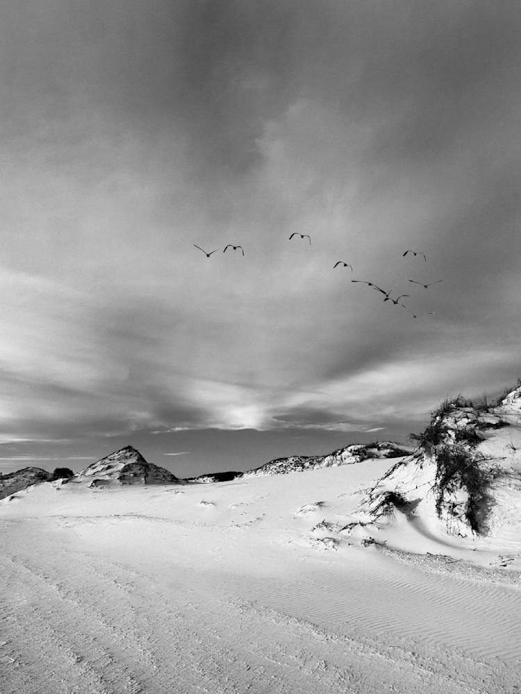 Dunes In Flight Sp Art | Sky + Sparks Luxury Fine Art